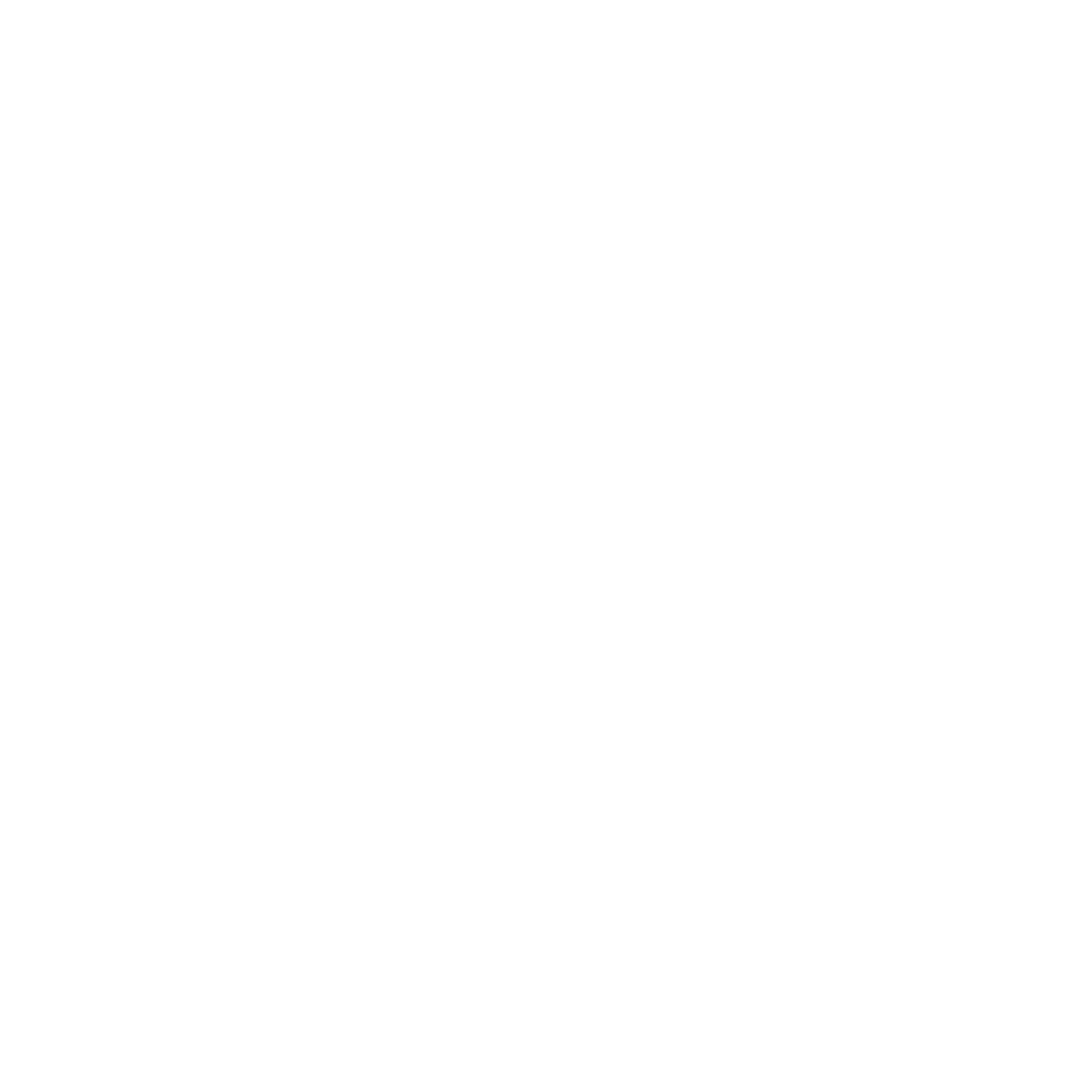 FightFlo Logo